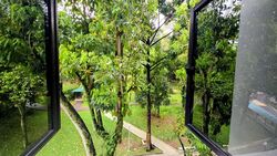Blk 534 Panshan Grove (Bukit Panjang), HDB 5 Rooms #583837651